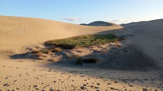 GC-Dunas de Maspalomas sunset 2026-082.jpg